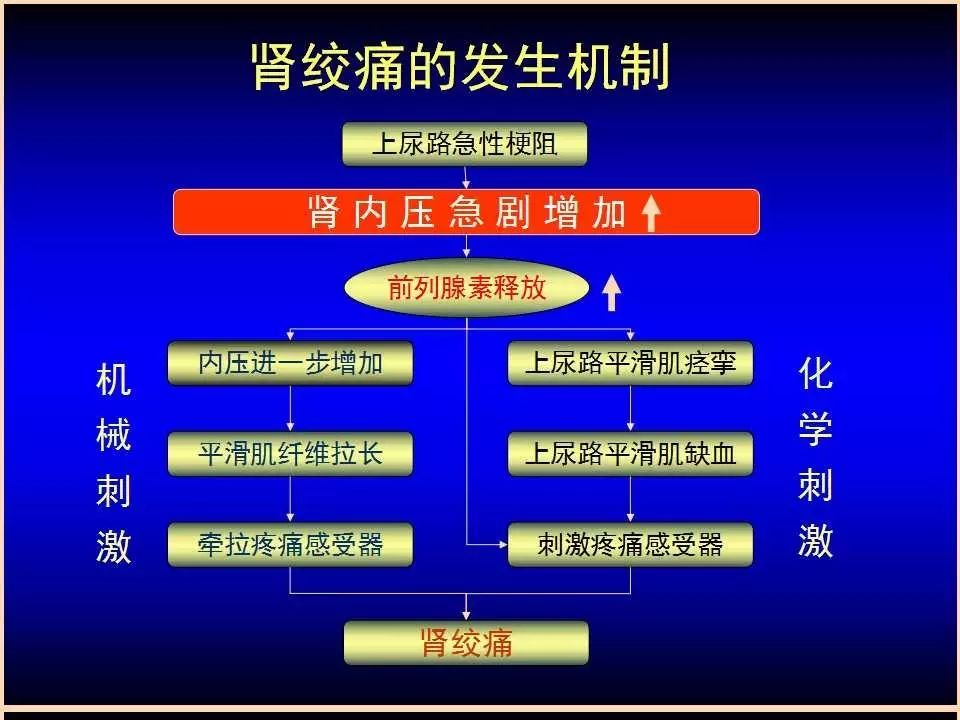 微信图片_20220408231659.jpg