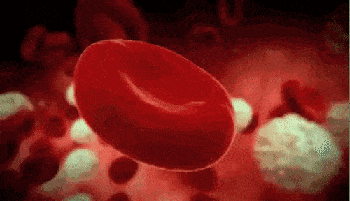 863595b9cd384f46b99144575ec6fb91.gif