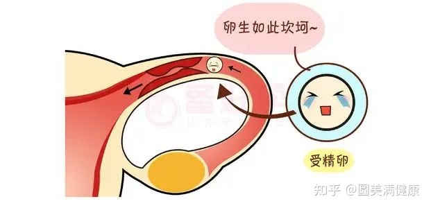 阻塞.jpg