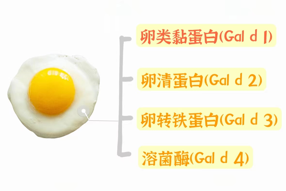微信图片_20220415141702.jpg