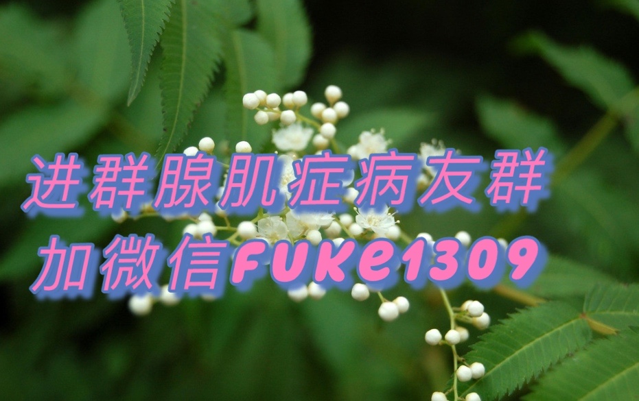 c8072411f20ea8de89b98249e85fece.jpg