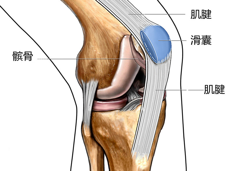 明明是关节痛，却当成关节炎，听听医生讲区别