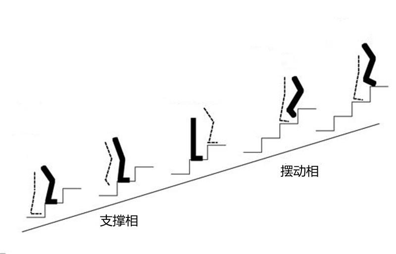 上楼梯没事，下楼梯腿发抖，医生告诉你为什么