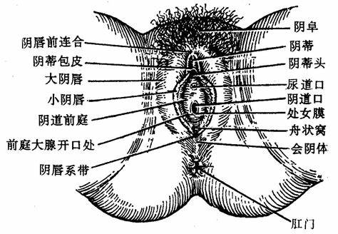 查看源图像