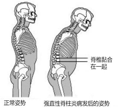 850110b90c4fee053cd8f97becd391bb.jpeg
