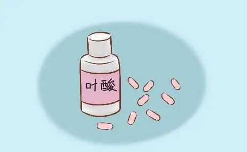 叶酸.png