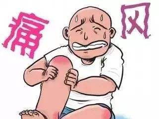 痛风.jpeg