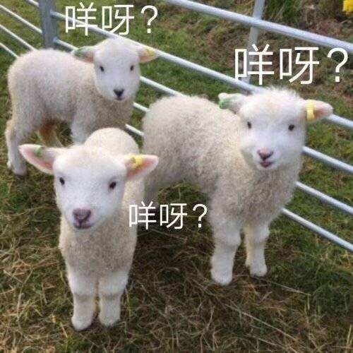 f5be5f60e008c22f258e9df824f094cf.jpeg