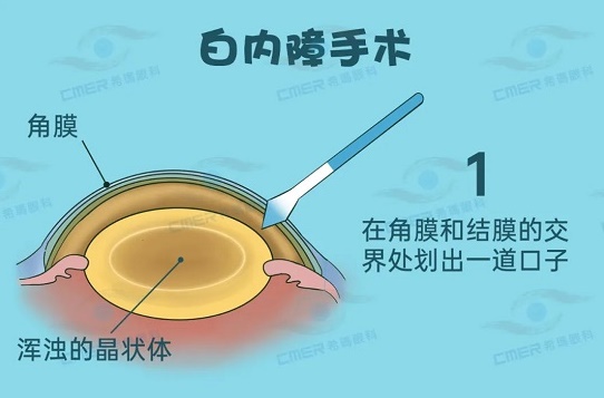微信图片_20230313100640.jpg