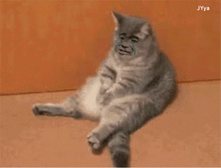 ceeb653ely1fwn4qhftmtg20cb09dwox.gif