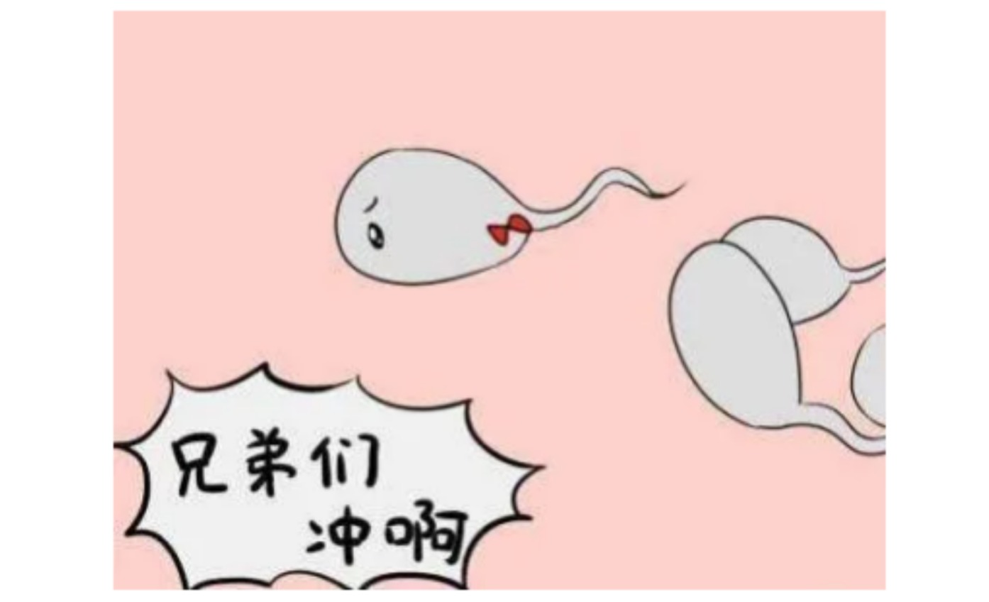 精子畸形原因，海外试管婴儿辅助生殖助孕全程一站式服务 _ 金雨天使