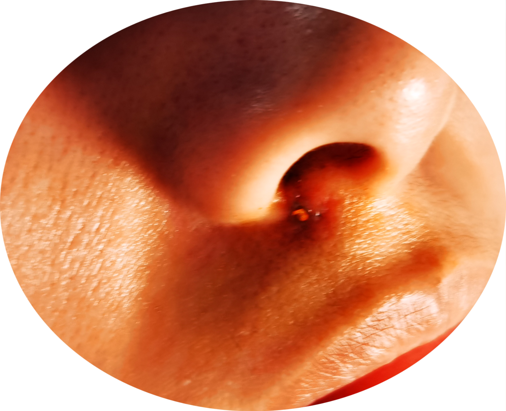 IMG_20240109_114451.png
