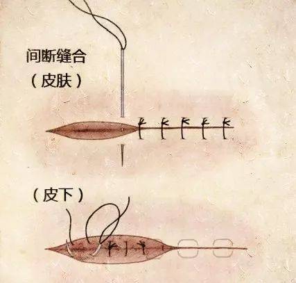 e78a42dbc7a4e3ff159e496307d4a3d7.jpg