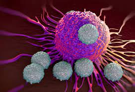 Does immunotherapy have side effects? | MD Anderson Cancer Center