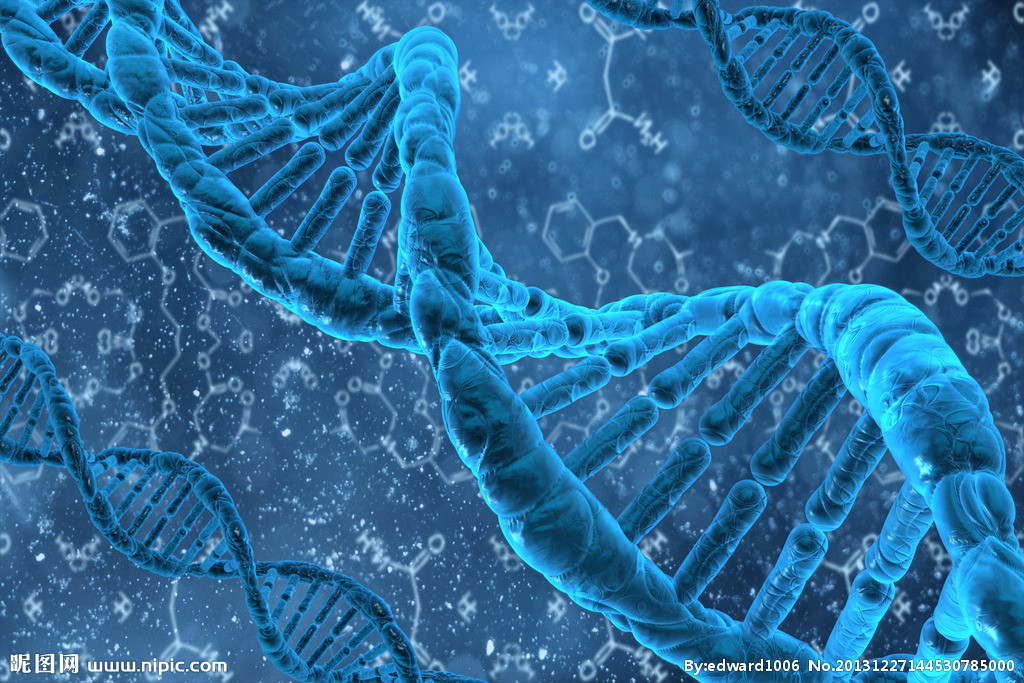 DNA遗传基因设计图__科学研究_现代科技_设计图库_昵图网nipic.com