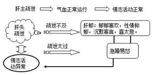 中医经典的藏象学说，你知道吗？中医精髓！|生理|五脏|学说_新浪新闻