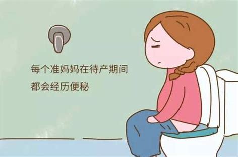 孕妇便秘预防 的图像结果