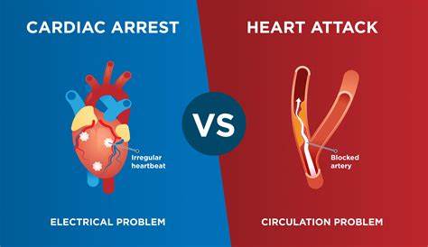 Differences between heart attack and cardiac arrest - Rapid Response ...