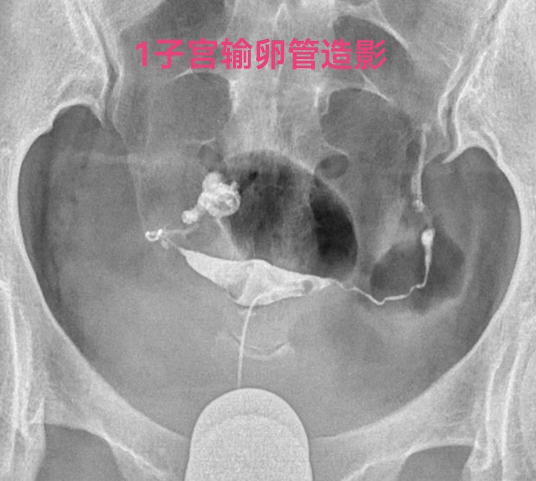 微信图片_20240213192924.jpg