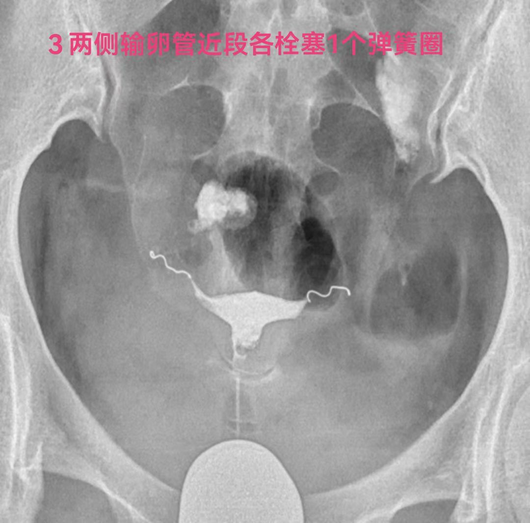 微信图片_20240213192948.jpg