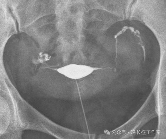 微信图片_20240215160222.jpg