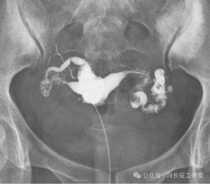 微信图片_20240220111146(3).jpg