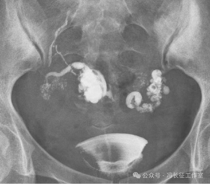 微信图片_20240220111200(4).jpg