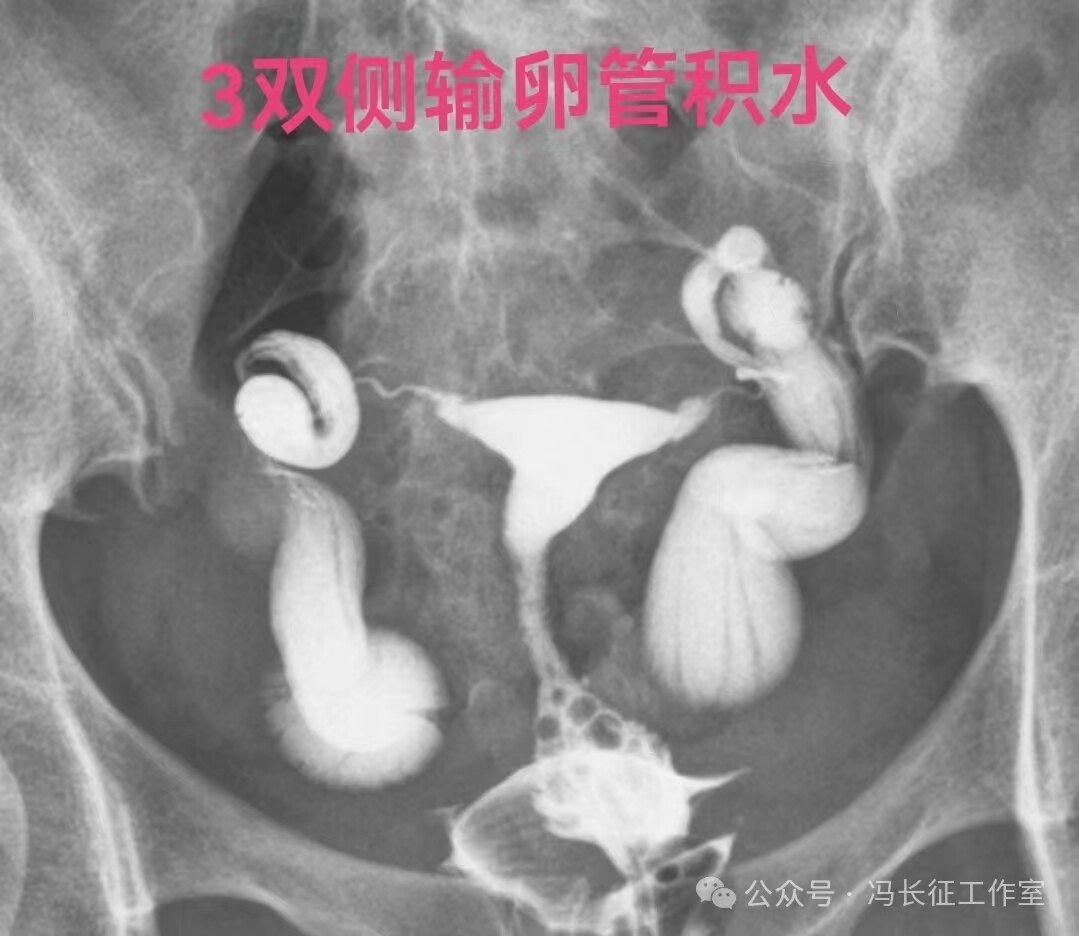微信图片_20240221210334(3).jpg