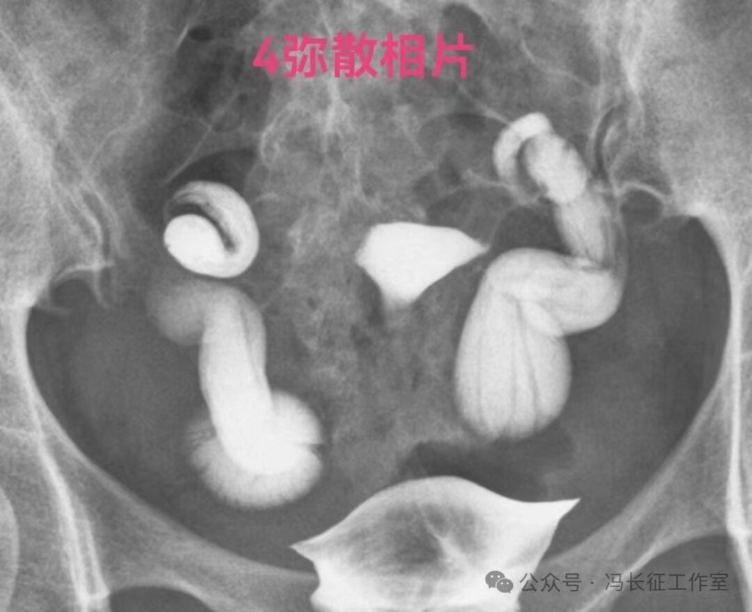 微信图片_20240221210412(4).jpg