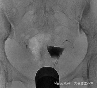 微信图片_20240223171216(3).jpg