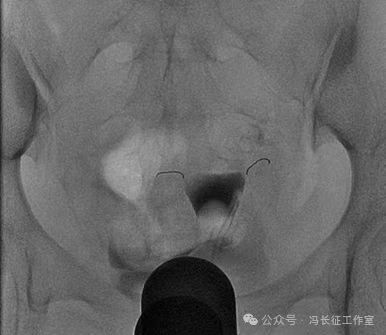 微信图片_20240223171250(4).jpg