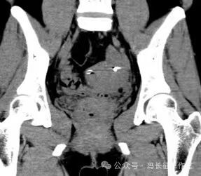 微信图片_20240223171515(8).jpg
