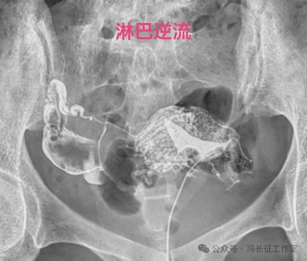 微信图片_20240224101326(2).jpg
