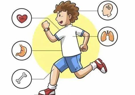 科学课堂：生命探索——运动系统的奥秘 - 无锡博物院