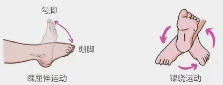 动起来,栓不住 VTE预防之踝泵运动-青海大学附属医院