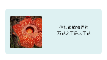 1535599677603166.png