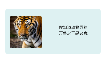 1535599673772708.png