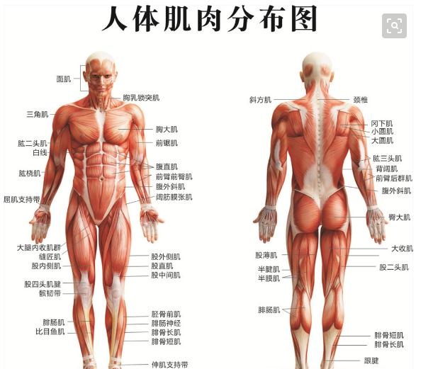 QQ浏览器截图20190914172225.jpg