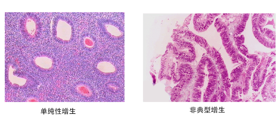 查看源图像