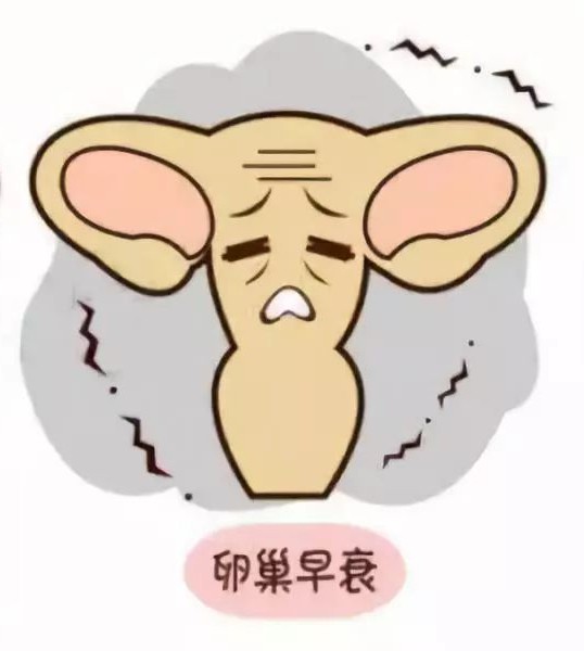 查看源图像