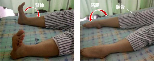 <a href='//www.haodf.com/jibing/rengongguanjiezhihuanshu.htm' style='text-decoration:none;' target='_blank'>关节置换</a>的康复很重要：髋<a href='//www.haodf.com/jibing/rengongguanjiezhihuanshu.htm' style='text-decoration:none;' target='_blank'>关节置换</a>手术后平常该如何锻炼？