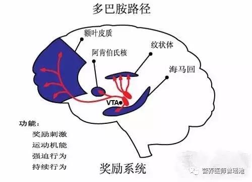 高糖高脂食物成瘾怎么破？