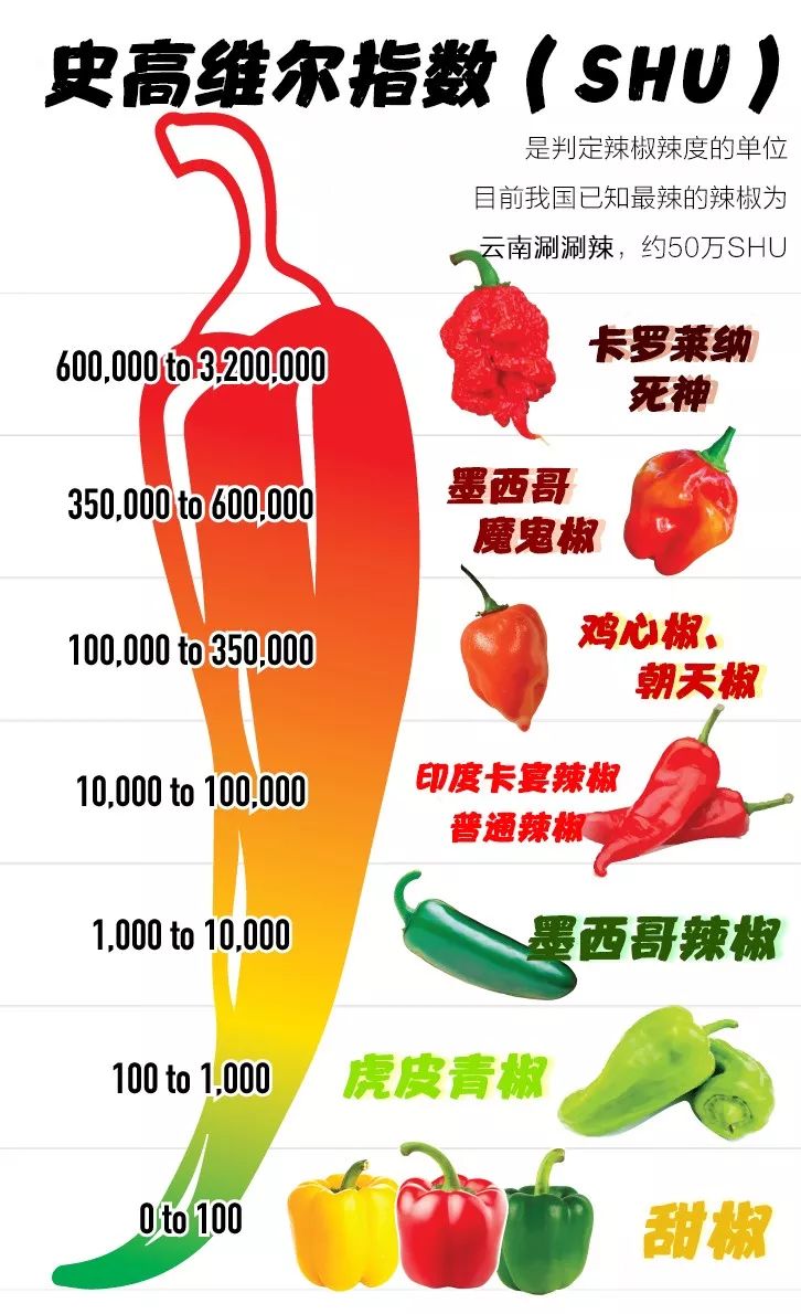中国辣椒品种大全图解图片