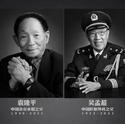 今日双星殒落！群众含泪送别：愿世间如你们所愿医食无忧