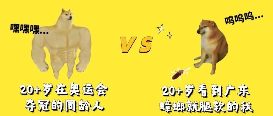 7月30日深圳无新增病例！张家界、郑州、银川、泸州等多地新增阳性病例