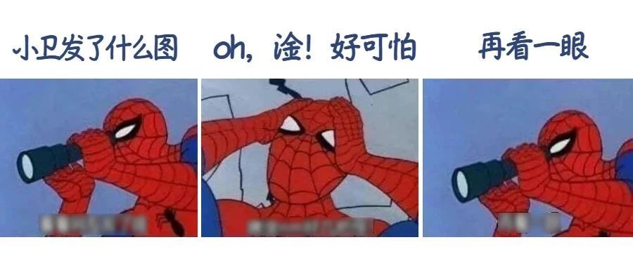 上个月22人被咬伤！深圳一工地“溜”进3米巨蟒，抓捕现场曝光！