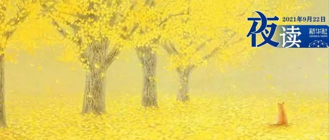 夜读 | 生活有点苦，总有人是你的那颗糖