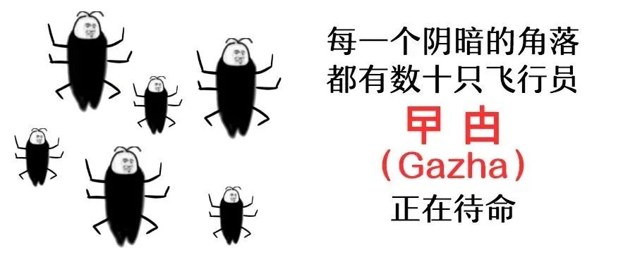 广 东 特 产 大 蟑 螂