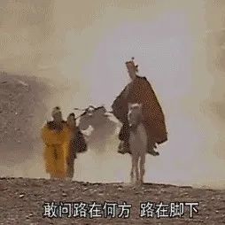 从“猪刚鬣”到“猪八戒”：如何用运动干预认知障碍？ | ASK专家