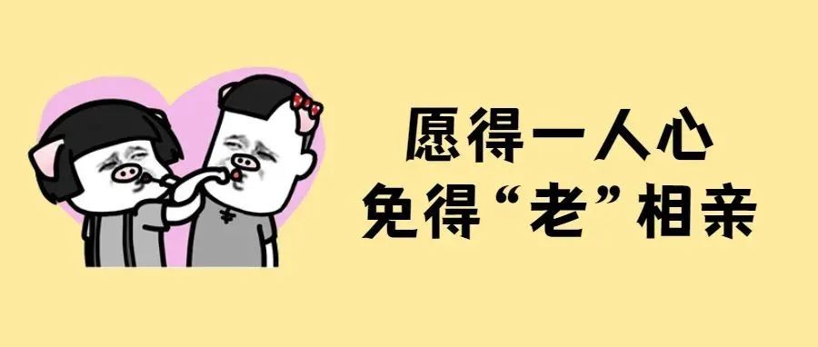 相亲的尽头是东北老阿姨